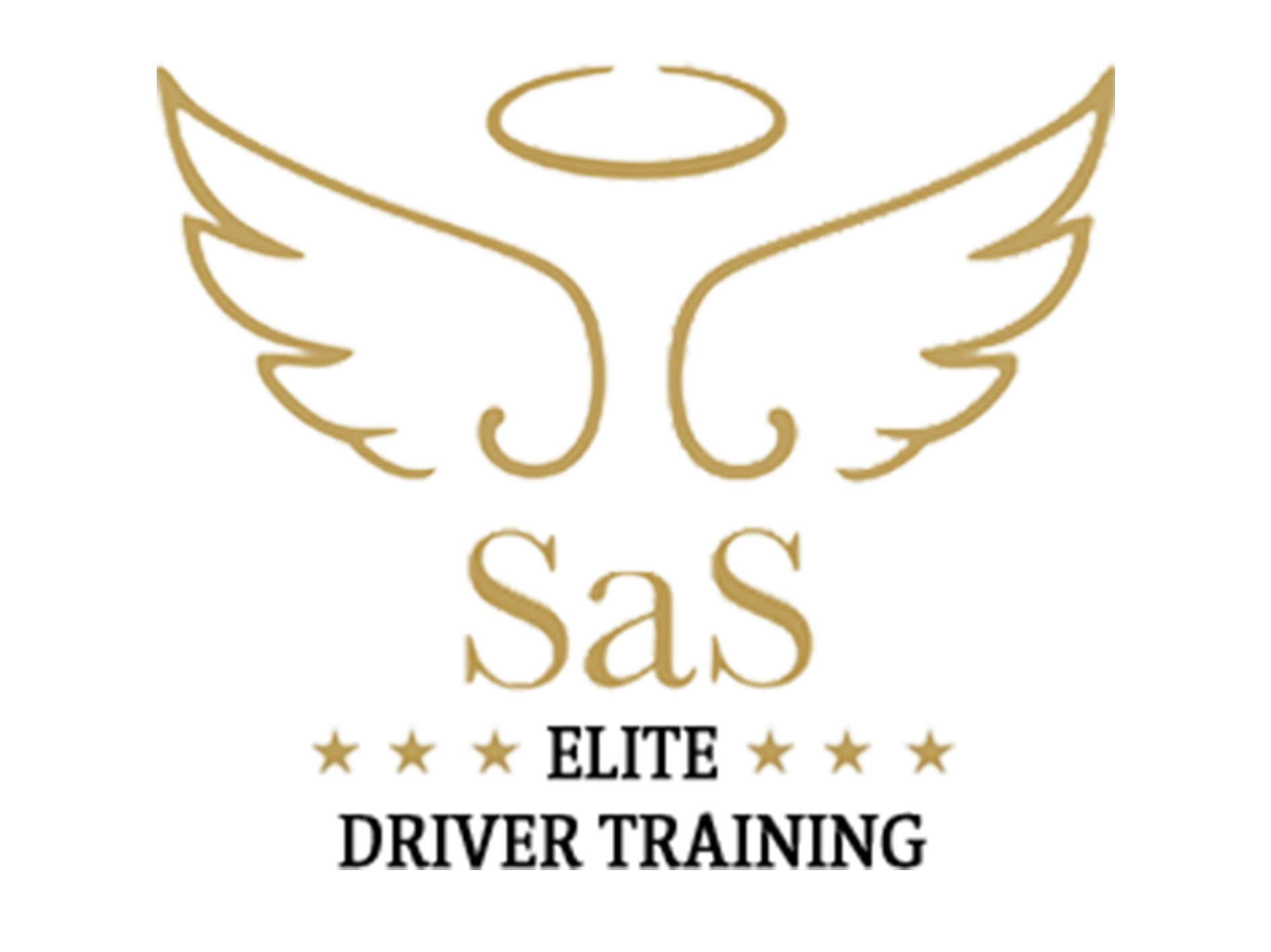 Sas Elite Driver Training